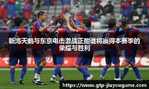 新泻天鹅与东京电击激战正酣谁将赢得本赛季的荣耀与胜利